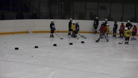 Hockey player Stock Footage 102446965