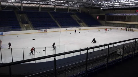 Hockey player Stock Footage 102446973