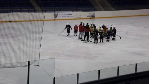Hockey player Stock Footage 102447021