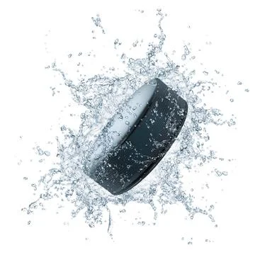 Hockey Puck Stock Illustration