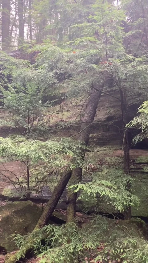 Hocking Hills Stock Footage 281373729