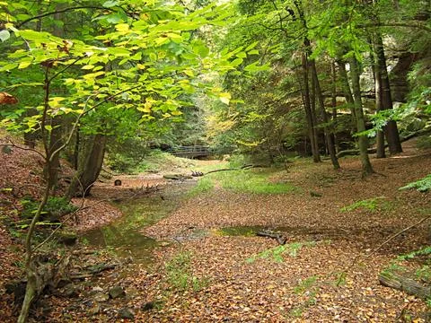 Hocking Hills Ohio Stock Photos