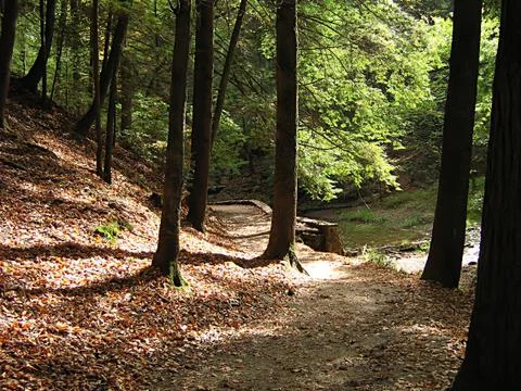 Hocking Hills Ohio Stock Photos