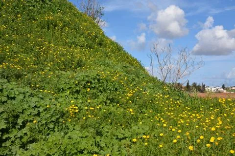 Hod Hasharon Park Stock Photos