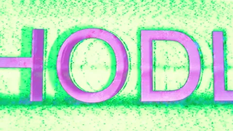 HODL Static Glitch Texture Animation Pattern. Animation Stock Footage 267996141