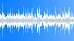 Hodown - A funky southern loop Stock Music