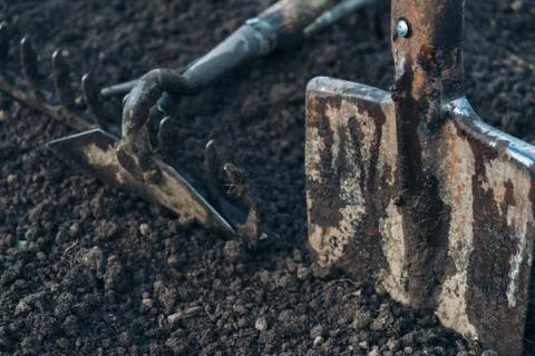Hoe and shovel Stock Photos