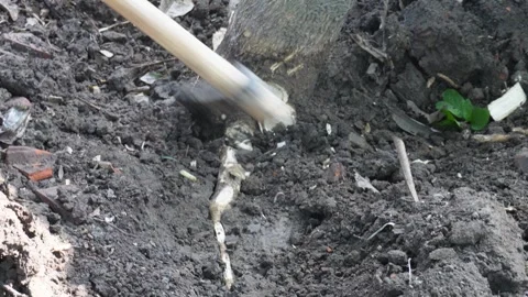 Hoe Digging Loose Soil Stock-Footage 329375900
