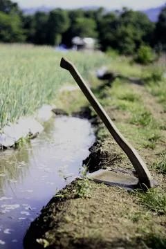 Hoe at The Edge of The Garden Stock Photos