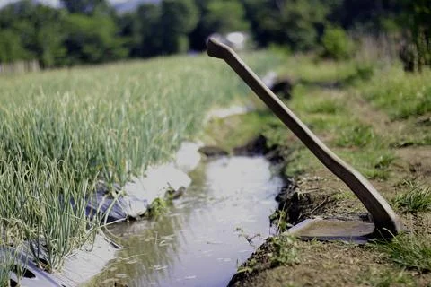 Hoe at The Edge of The Garden Stock Photos