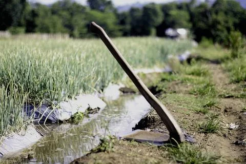 Hoe at The Edge of The Garden Stock Photos
