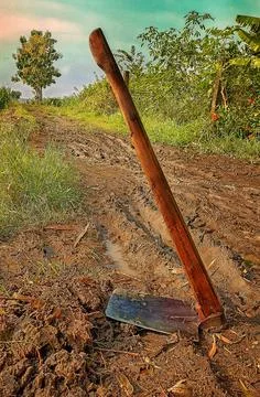 The hoe Stock Photos