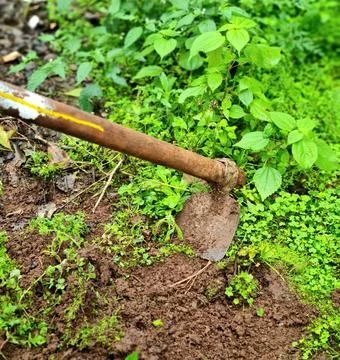Hoe plowing land Stock Photos