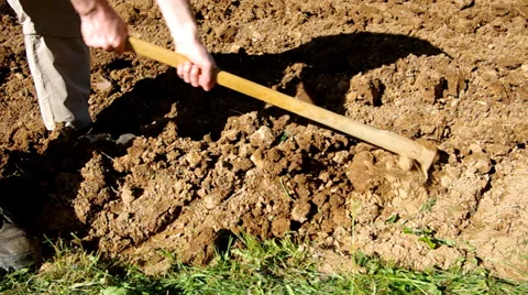 Hoeing soil Stock Footage 38088524
