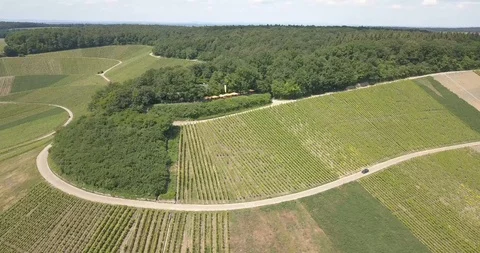 Hoernle Bawue Video stock 94867050