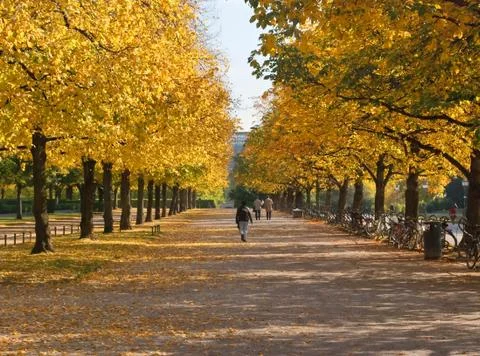 Hofgarten Foto stock