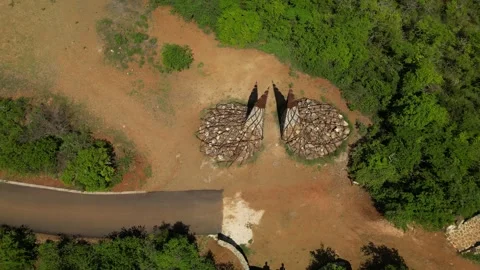 Hofi Mango Tree Canopy Flight Drone 4K-05 動画素材 312291021