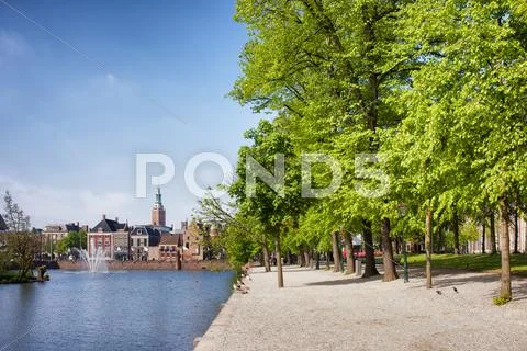 Hofvijver Lake and Park in The Hague Stock Photos