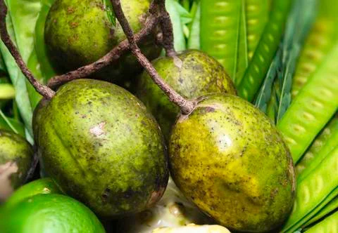 Hog plum Stock Photos
