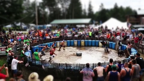 Hog Wrestling 1 Stock Footage 78493025