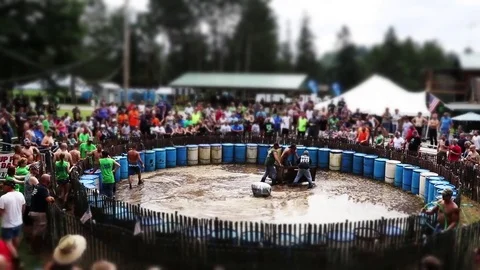 Hog Wrestling 2 Stock Footage 78493011