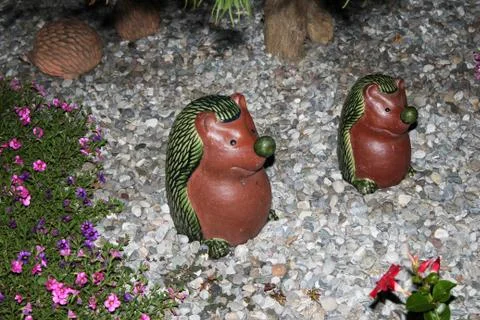 Hoglets Stock Photos