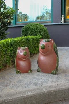 Hoglets Stock Photos