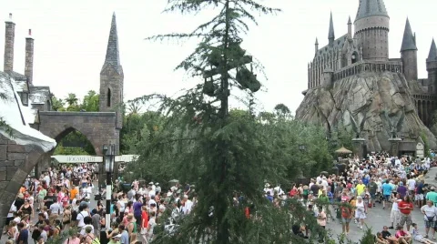 Hogwarts and Hogsmeade Wide Stock Footage 768321