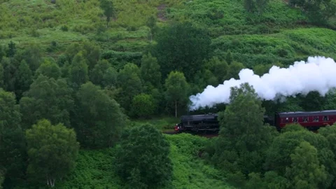 Hogwarts Express train traveling through thick forest Stock Footage 306419102