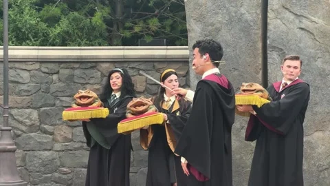 Hogwarts school from Harry Potter. Group students performing sing a cappella Stock Footage 338342762