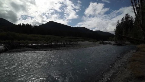Hoh Forest 35 Stock Footage 117877487