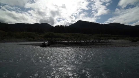 Hoh Forest 36 Stock Footage 117877424