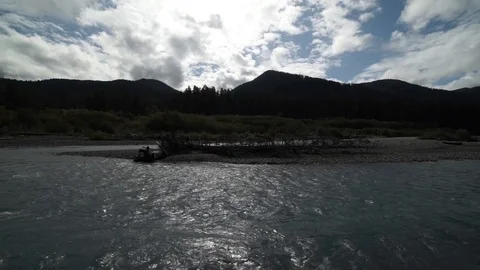 Hoh Forest slow motion 35 Stock Footage 117877446