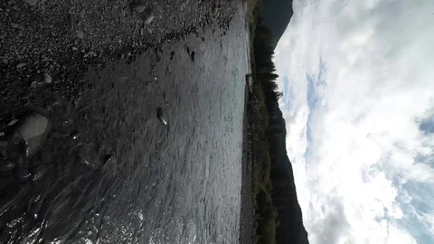 Hoh Forest vertical 6 Stock Footage 117877465