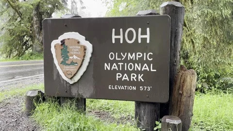 Hoh Rain Forest Sign, Olympic National Park Stock Footage 320810471