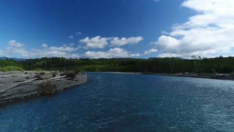 Hoh River, Olympic National Park Stock Footage