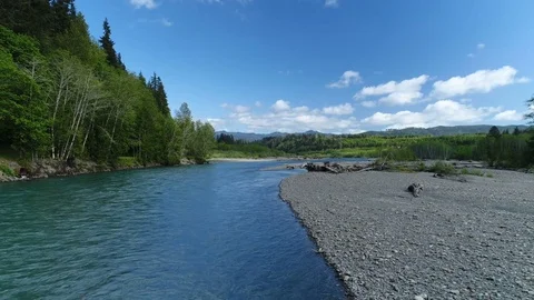 Hoh River, Olympic National Park Stock Footage
