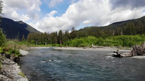 Hoh River in Washington's Olympic Peninsula Stock Footage 108555616