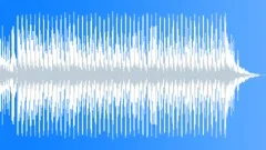 HoHoHa Christmas Time 30 XL version BStock Music