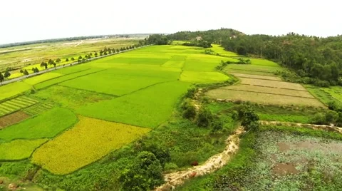 Hoi An Over the Padi Stock Footage 57936408