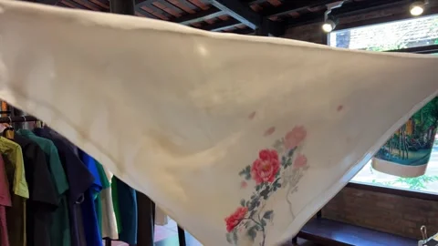 Hoi An silk production starting from the cocoon of caterpillar larvae on 動画素材 308609172
