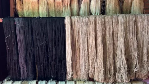Hoi An silk production starting from the cocoon of caterpillar larvae on Stock Footage 308609266