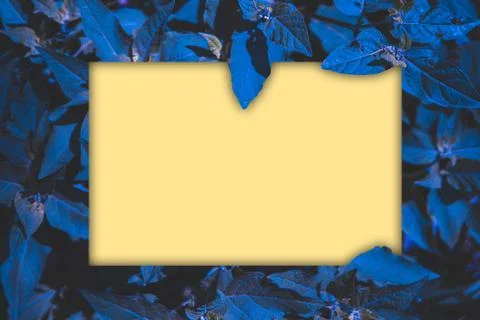 Hojas azules 스톡 일러스트