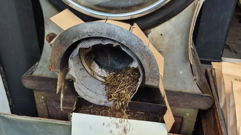 Hojicha roaster machine roasting green tea leaf Japanese drink Видео 330059998