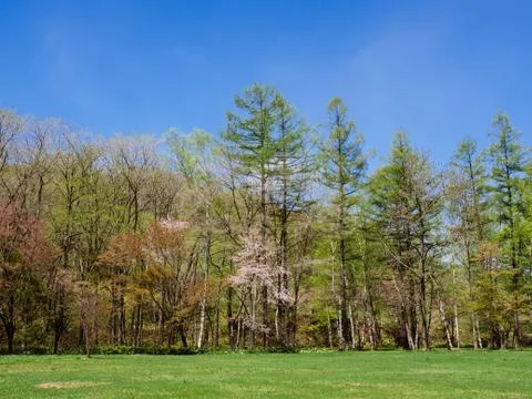 Hokkaido in Spring Stock Photos