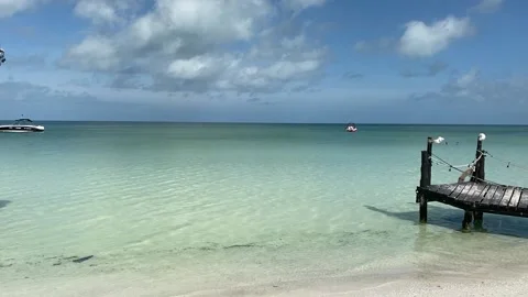 Holbox Mexico Beach Stock Footage 217363099