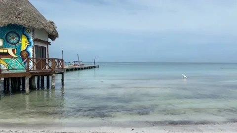 Holbox Mexico Beach Stock Footage 217363136