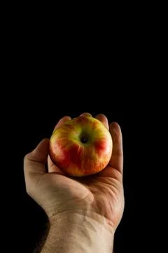 Hold the apple Stock Photos