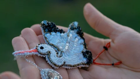 Hold in hand Stock Footage 119367759