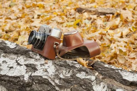 To hold the old camera in hand Stock Photos